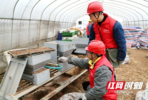 助力春耕丨冷水江供电送服务到田间地头 乡村振兴电能有保障