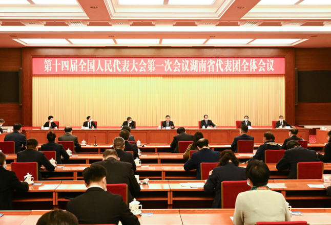 湖南代表团举行第一次全体会议 推选张庆伟为团长，毛伟明等为副团长