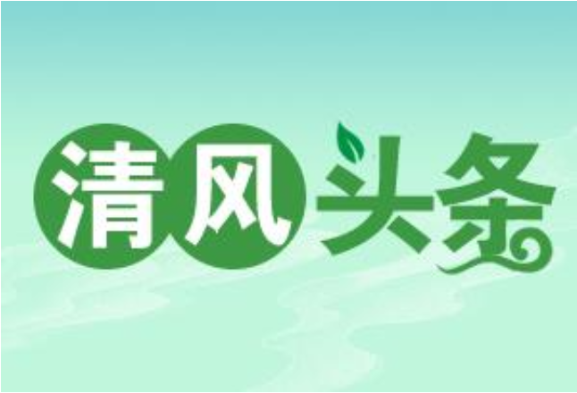 清风头条丨桂阳县：构建一体化监督体系 护航“三湘护农”