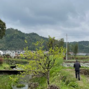 传统村落保护|湖南浏阳潭湾村:“木活字”镌刻的“乡愁”