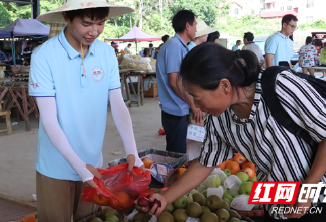 湖南第一师范学院团委：暑期“三下乡” 实干助农