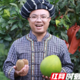 湘商“峰”味丨周祖辉：返乡挑重担 带富众乡亲