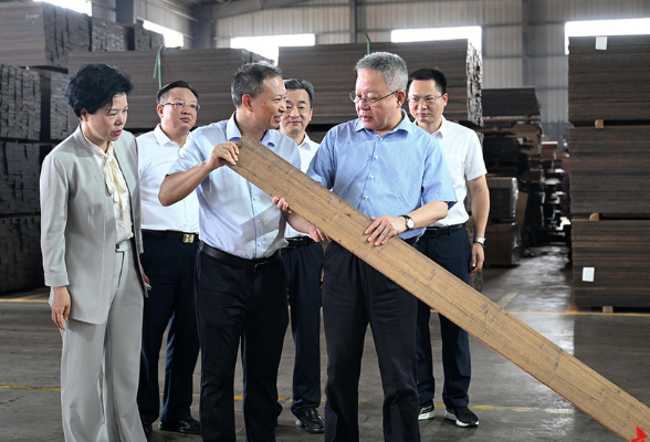 沈晓明在桃江调研：着力锻长板补短板扬优势 努力走出县域经济高质量发展新路子