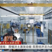 湖南：厚植沃土激发动能 民营经济活力迸发