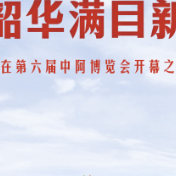 万里尚为邻 韶华满目新——写在第六届中阿博览会开幕之际