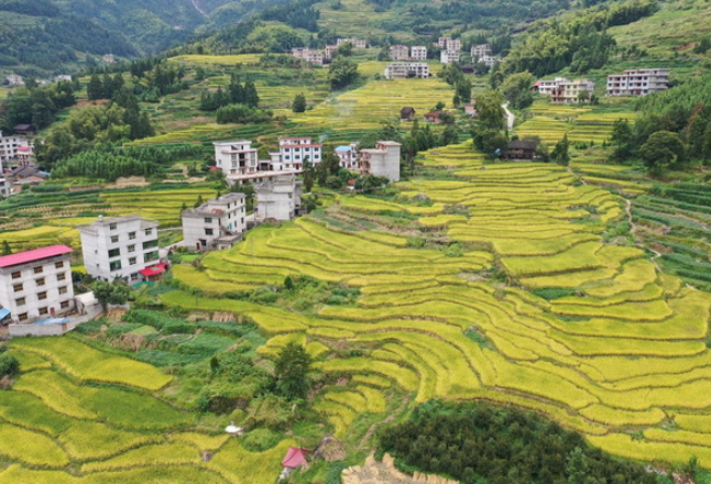 图集丨湖南各地“丰”景图邀您来观赏！