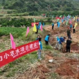 办在心坎上丨守护“水缸子”“米袋子” 湖南水利部门做了这些事