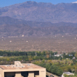 文化中国行|同是西夏瓷,画风为何大不同?