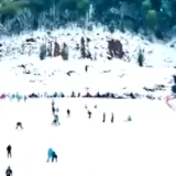 经济政策一线微观察｜冰雪经济冲万亿 “冷资源”在南方释放“热效应”
