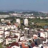焦点访谈丨牢记总书记嘱托 人财两旺心气顺