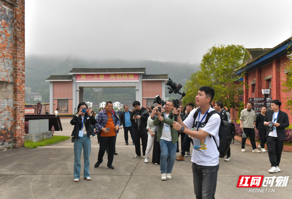 逛茶厂、采青茶、做黑茶 海峡两岸媒体沉浸式体验黑茶生产