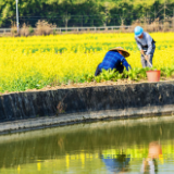 湖南前4月共批准用地7.09万亩 同比增加24%