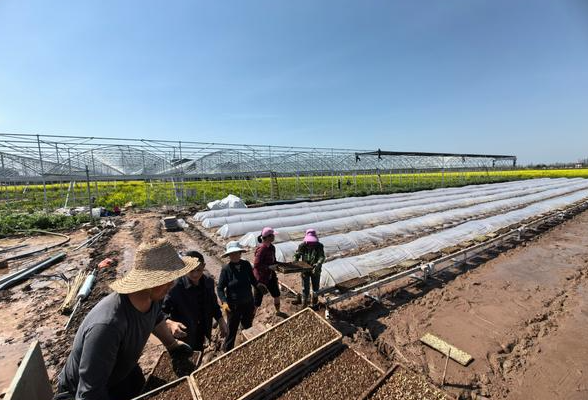 洞庭湖畔“新农人”：逐梦田野 守护乡村