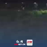 以“迅”应“汛”|视频：“第二道防线”下的“防线”