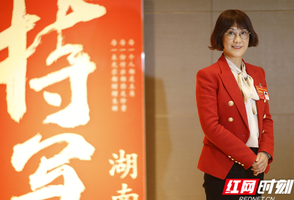 特写湖南·声音丨何海英：迎挑战、抢机遇，发挥民营企业在经济发展中的作用