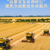 农业科技兴 乡村生活美——“高质量发展调研行”聚焦全面推进乡村振兴