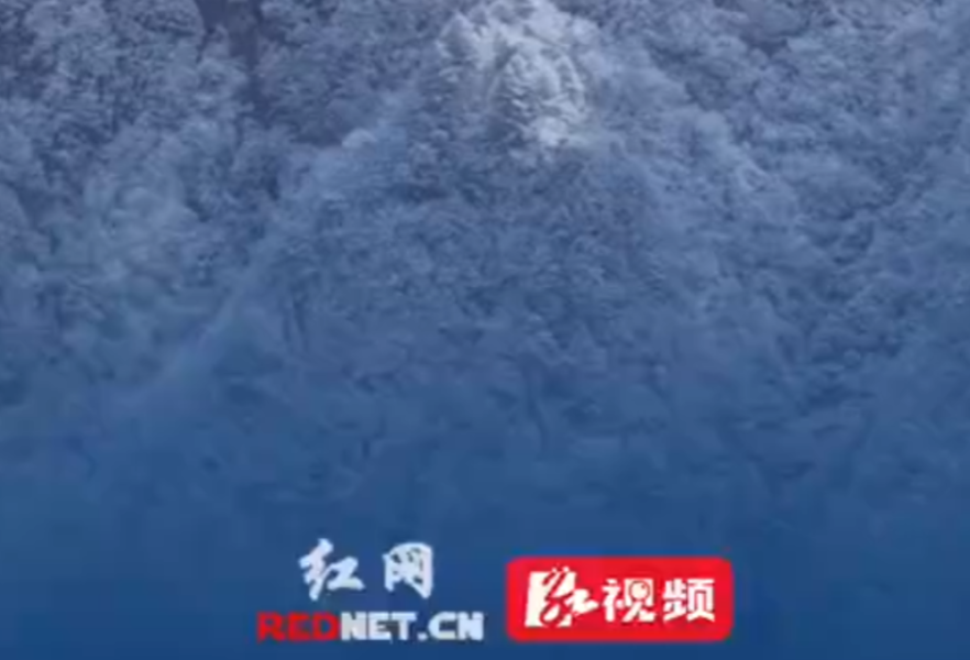 视频丨千树万树雾凇花开 岳阳迎蛇年首场降雪