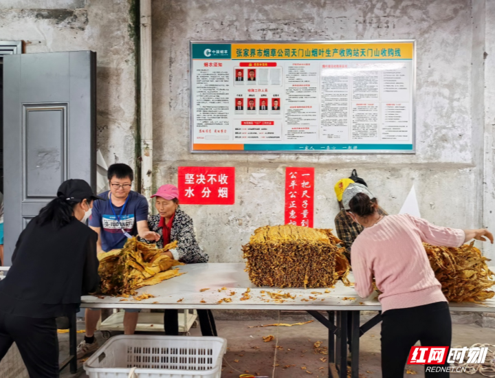 图片1_副本.png