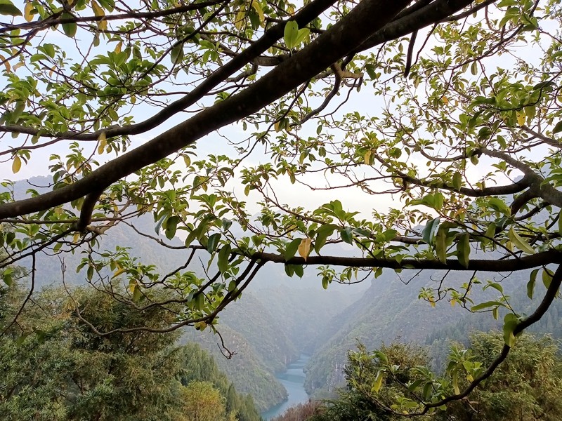 2345706c6d17c60c52d39b35b132350.jpg 2345706c6d17c60c52d39b35b132350.jpg