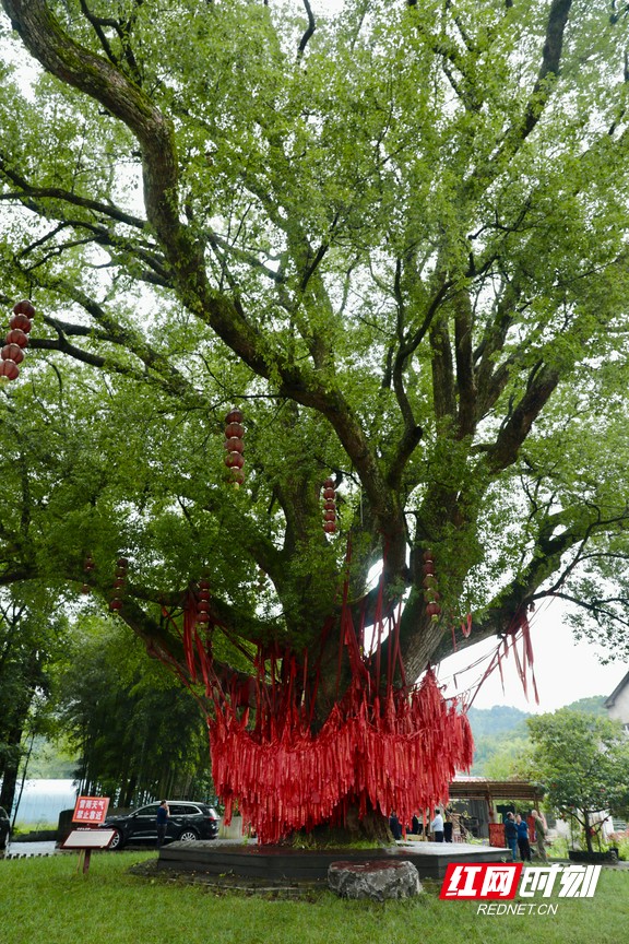 微信图片_20260613215732_10235_12.marked.jpg 微信图片_20260613215732_10235_12.marked.jpg