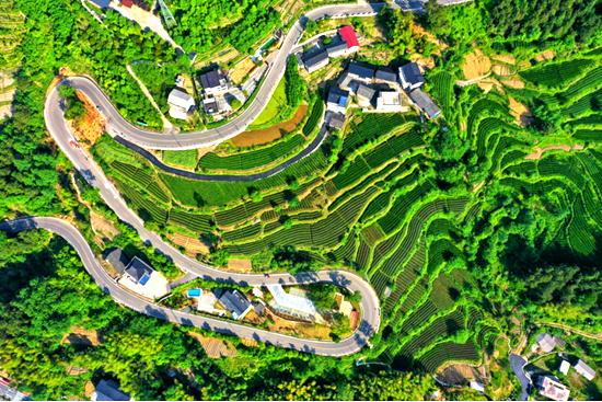 微信图片_2026-10-15_111937_355.png