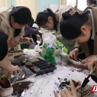 南华大学举办多肉微景观制作主题团辅活动
