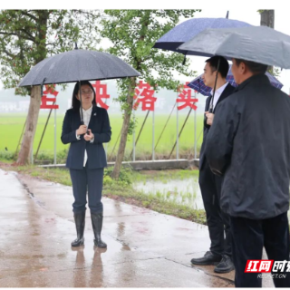 丁芬到衡山县调研督导当前重点工作