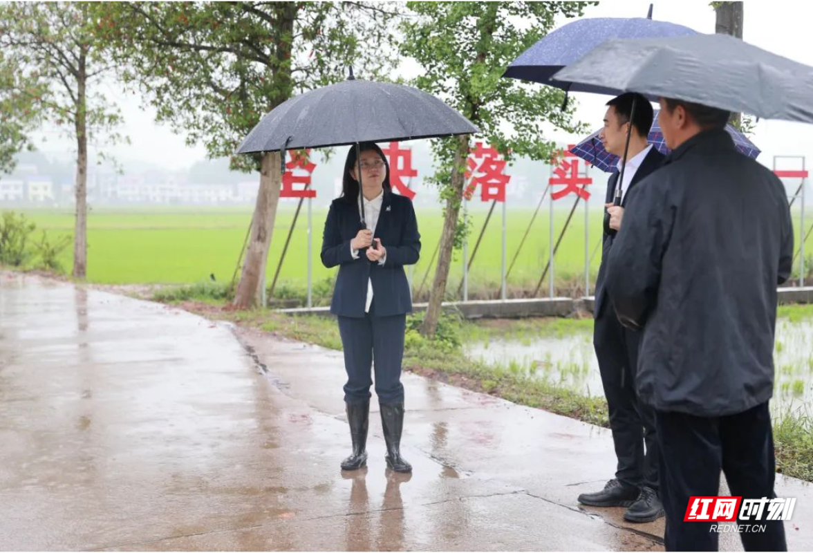 丁芬到衡山县调研督导当前重点工作