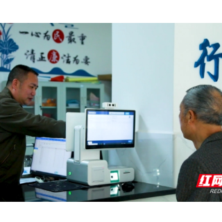 30余项业务“一机通办” 衡南县强力推进政务服务向乡镇延伸