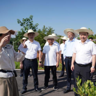 衡阳市油茶产业高质量发展现场推进会召开 朱健出席并讲话 