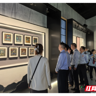 衡阳高新税务:  “青税”乘风破浪 点燃“强基”引擎
