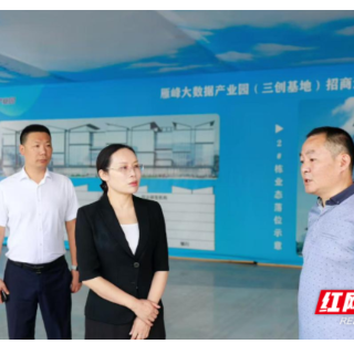 雁峰区：抢抓进度、实干争先，坚定不移打好“项目为王”攻坚战、主动战