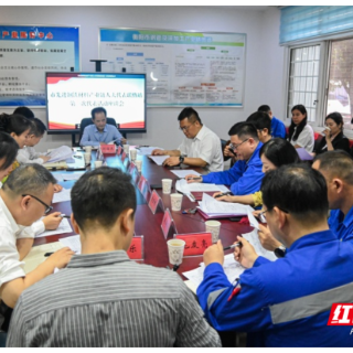 促进衡阳市先进钢铁材料产业链发展  四级人大代表来衡钢调研