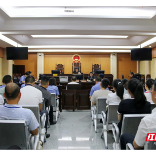 以案为鉴筑廉堤 常宁市人民检察院开展职务犯罪案件庭审观摩活动