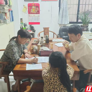 蒸湘区：高效响应提案，为企业注入暖心动力