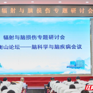聚焦辐射神经损伤新突破 辐射与脑损伤专题研讨会在南华医院举行