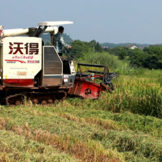 衡南：低茬收割助力秸秆综合利用