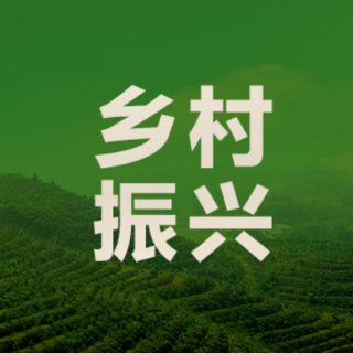 常宁官岭镇：栽下“梧桐树”引得“凤凰来”