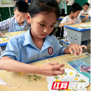 南华学子“三下乡”：压花入乡土 美育润乡村
