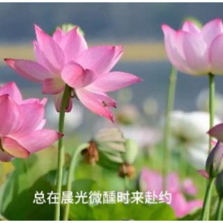 视频｜衡东：邀您共赴一场洣水河畔的诗意之约