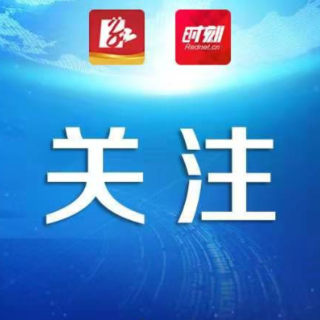 蒸湘区：“五区五业”驱动下的高质量发展实践