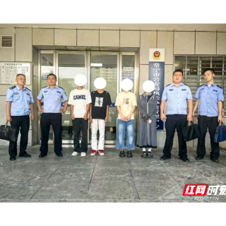 利用网购骗保？这样的“羊毛”薅不得！5人已被抓