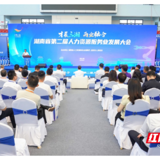 耒阳市人力资源服务中心喜摘省赛“特别奖”