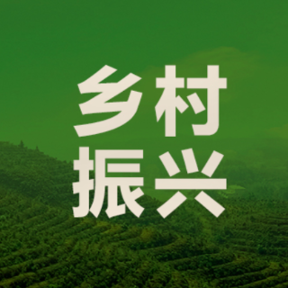 祁东双桥镇农作物秸秆综合利用还田3000余亩回收秸秆120余吨