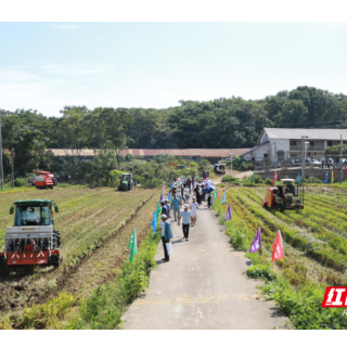 “硬核”农机秀！耒阳市上演秸秆综合利用机械化大戏