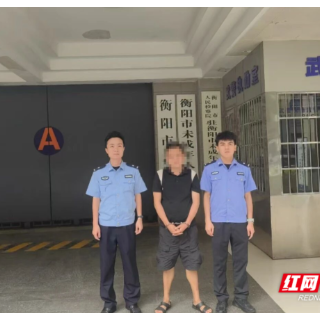 “代抢国补券” 暗藏骗局，石鼓警方破获一电信网络诈骗案