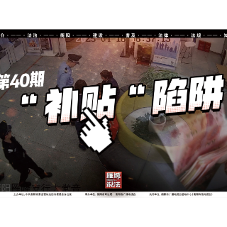 《雁城说法》㊵：“补贴”陷阱