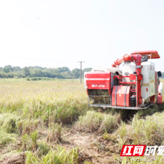 珠晖区:走稳“秸秆换肥”新路径 构建“种养循环”新生态