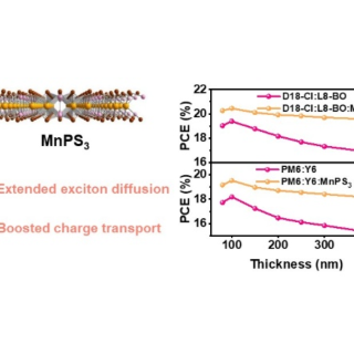 南华大学李振业团队在Advanced Materials发表重要研究成果