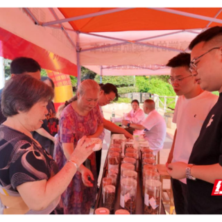 衡山县启动2025年“药品安全宣传周”活动